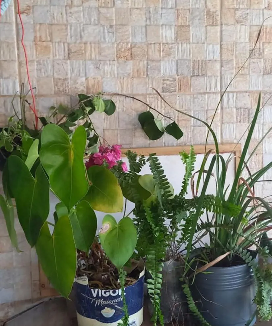 Jasmim Villa Porto Seguro Vakantiehuis
